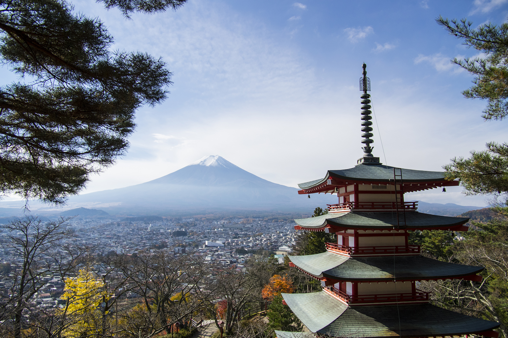 １つでも多くの思い出を今、あなたに。